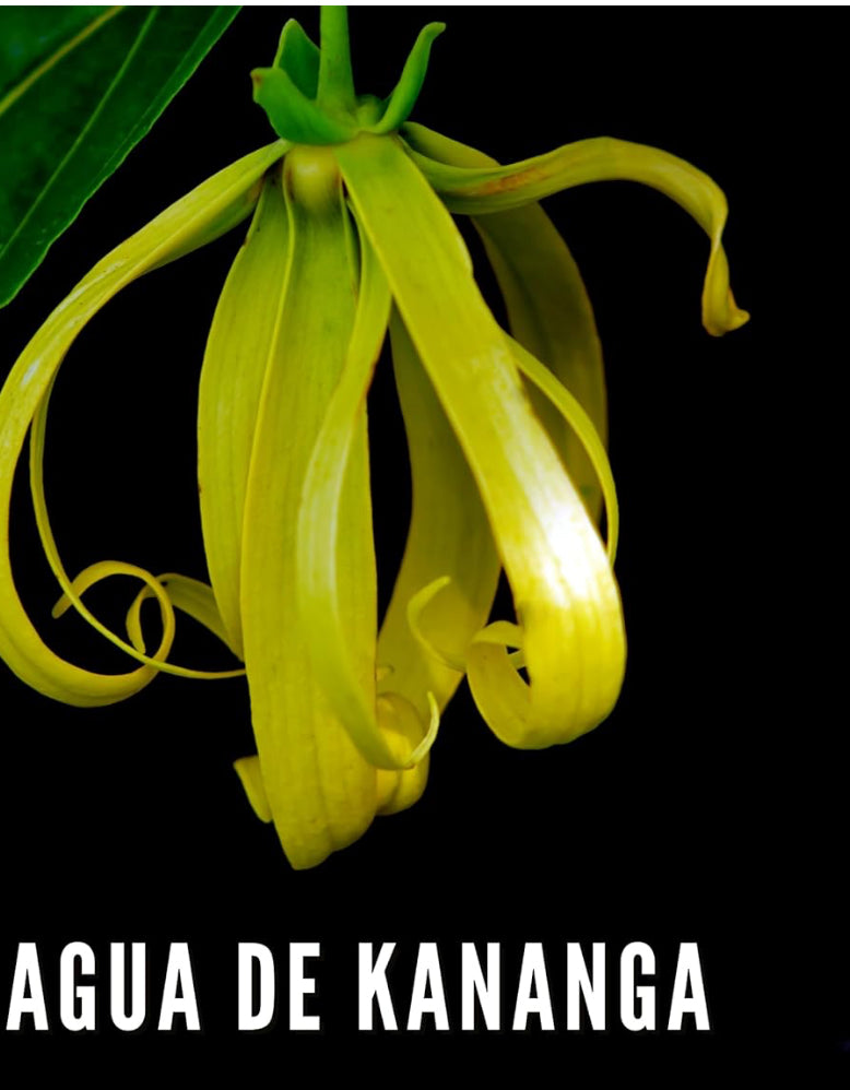 AGUA DE KANANGA ✨ Acqua Sciamanica