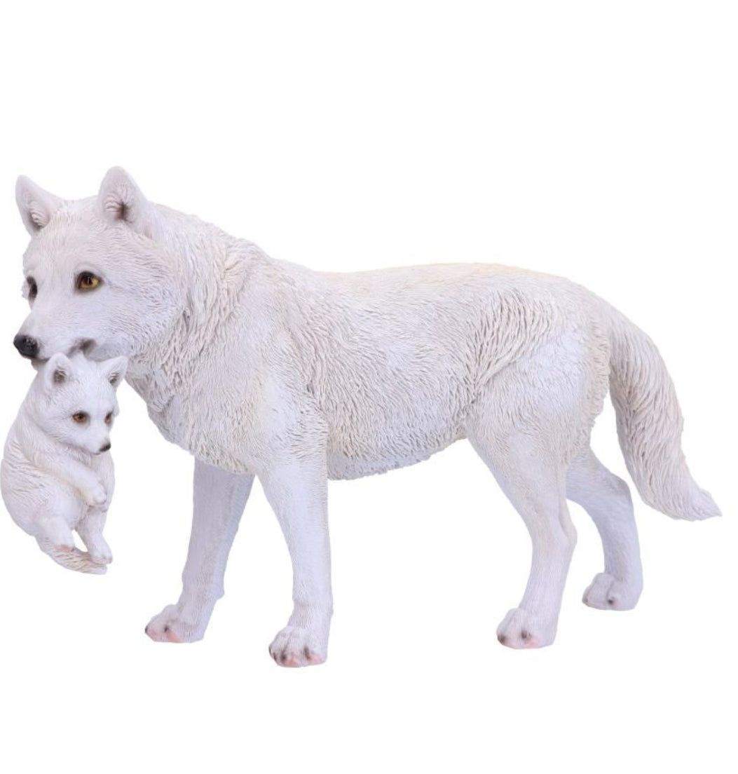 Lupo bianco con cucciolo in bocca
