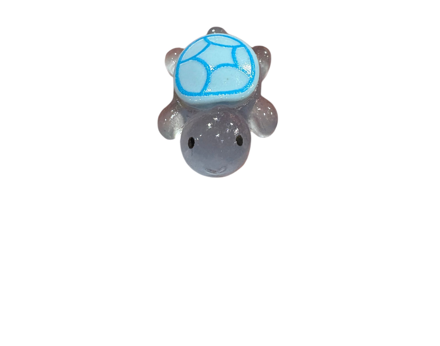 Tartaruga piccola AZZURRA