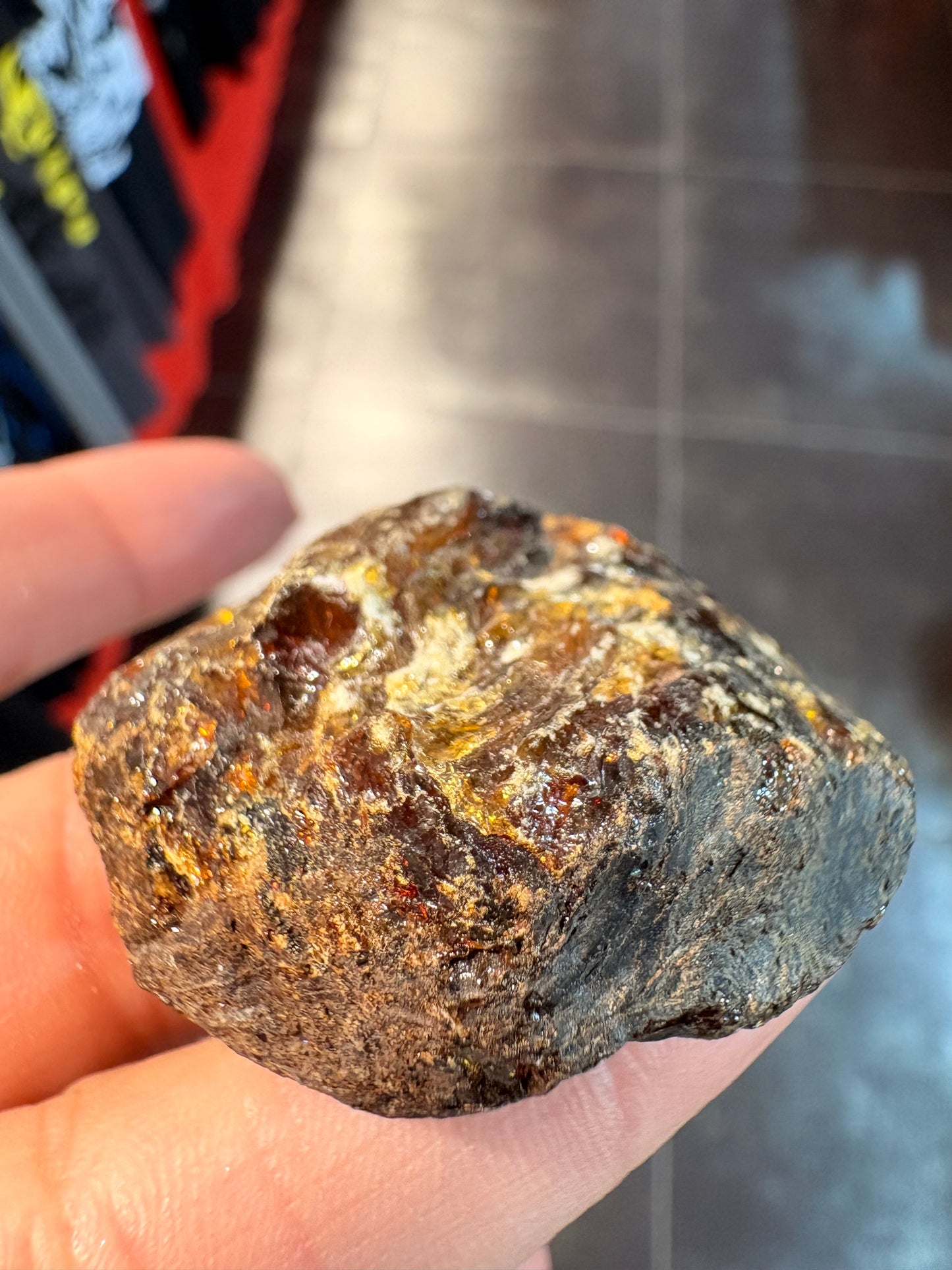 Ambra baltica pietra grezza 4,5cm