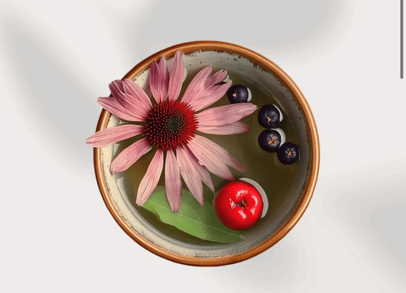 YOGI TEA Difesa Naturale
(INFUSO AYURVEDICO DI ERBE CON ECHINACEA, ACEROLA, SAMBUCO)