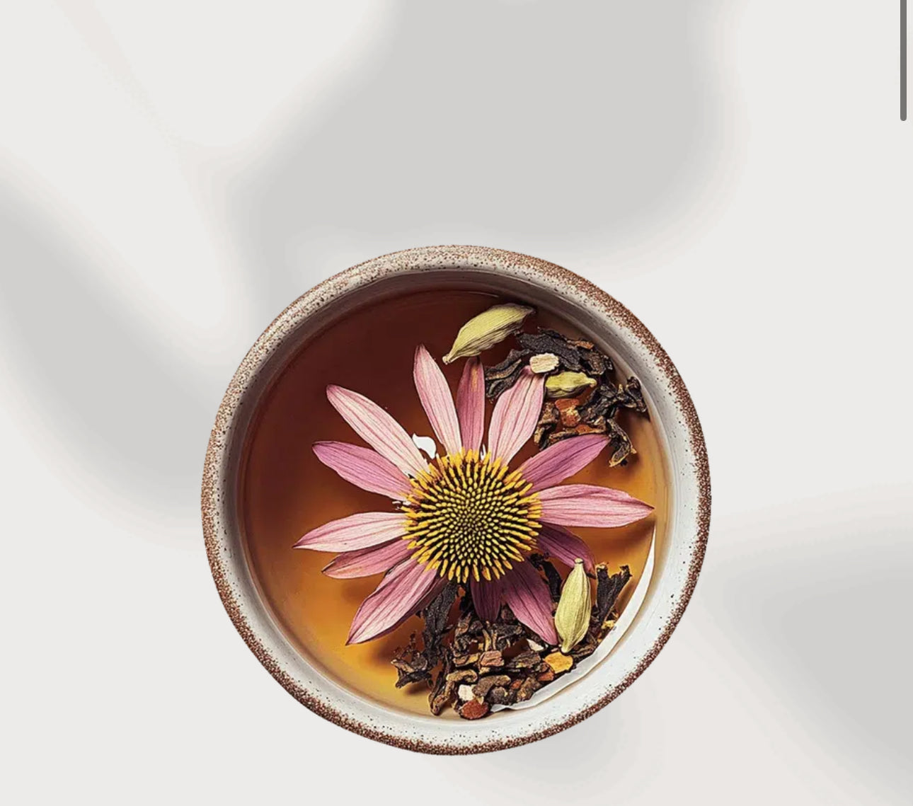 YOGI TEA Echinacea (INFUSO AYURVEDICO DI ERBE CON
ECHINACEA, ROOIBOS, CARDAMOMO