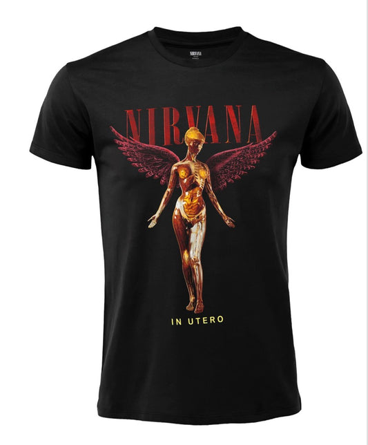 Nirvana - Angelo con ali