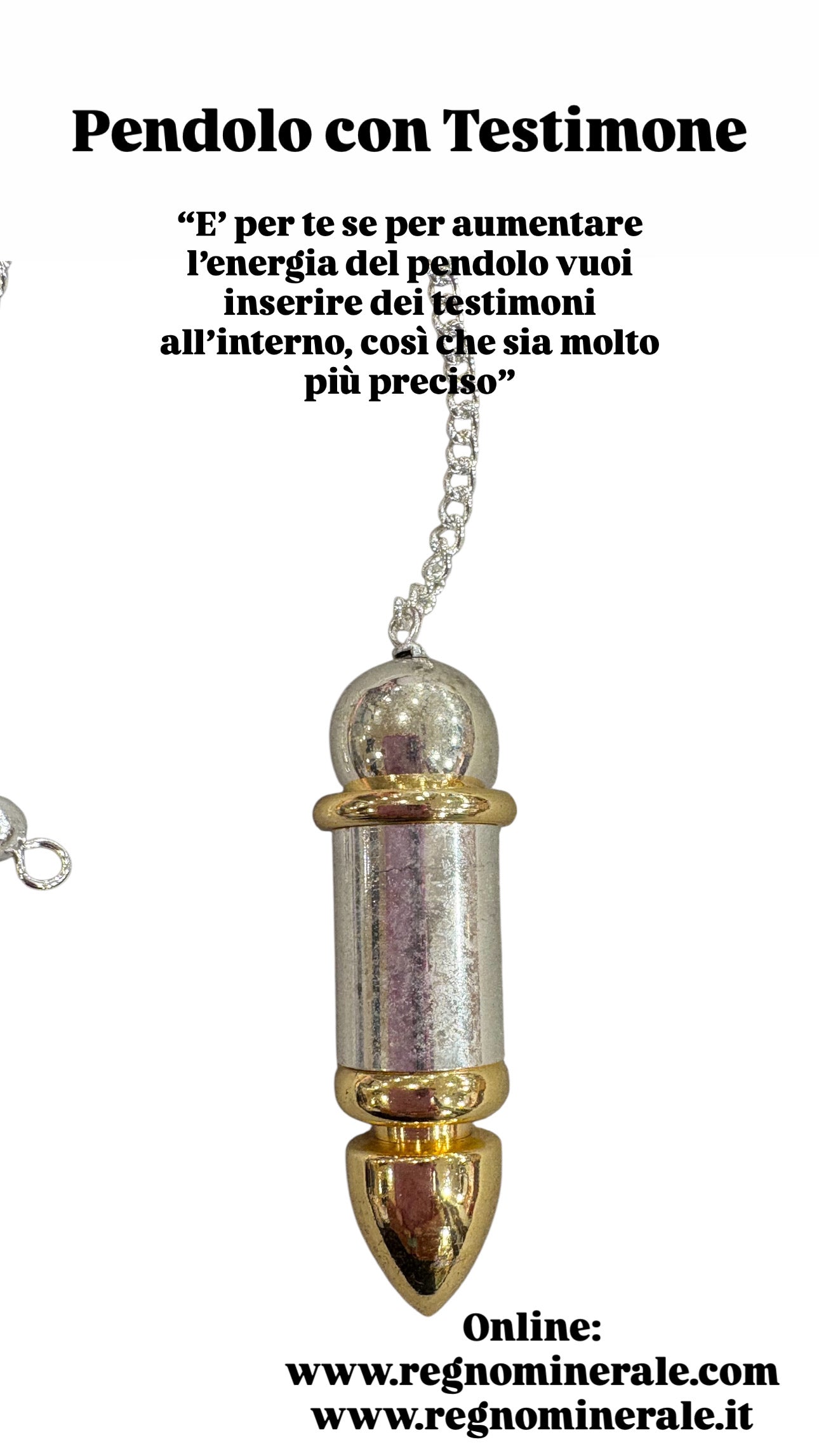 Pendolo apribile per inserire Testimone