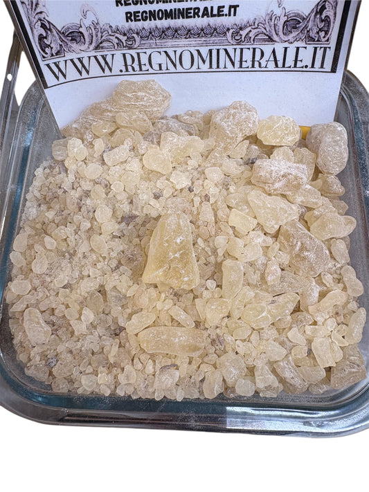 DAMMAR - Incenso Resina