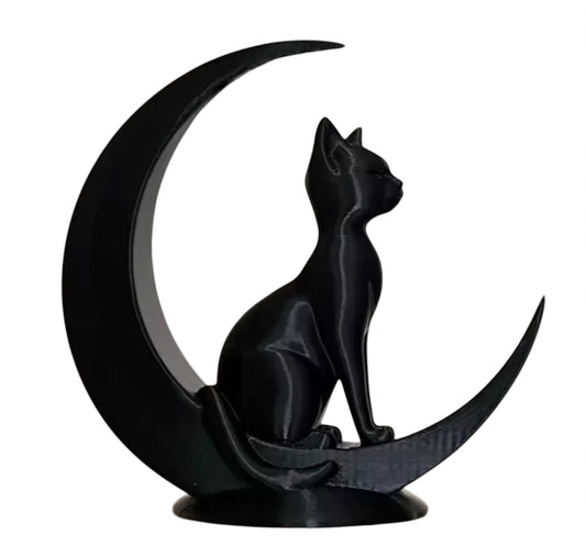 Gatto nero sulla luna